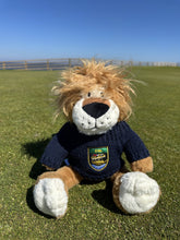 Load image into Gallery viewer, Soft Toy
